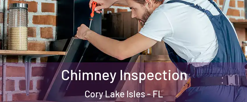 Chimney Inspection Cory Lake Isles - FL