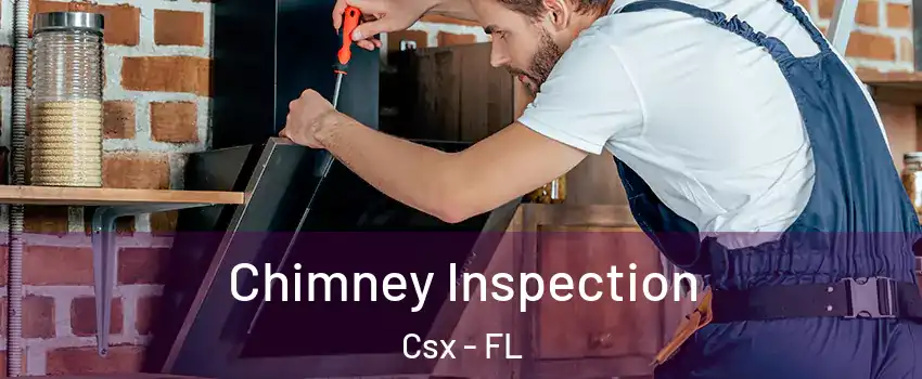 Chimney Inspection Csx - FL