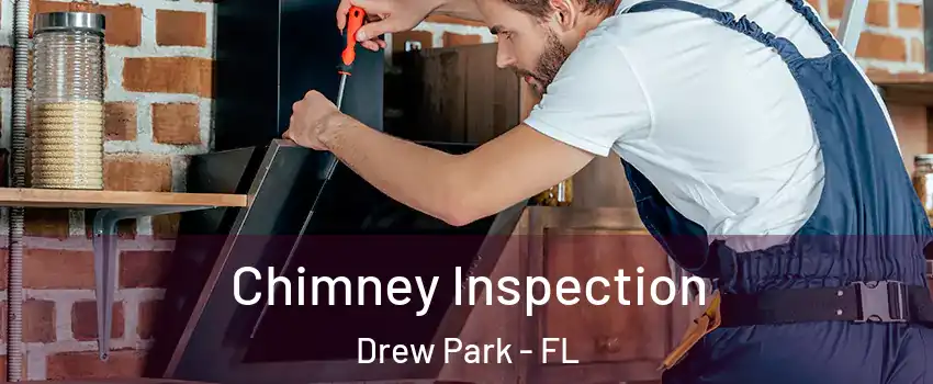 Chimney Inspection Drew Park - FL