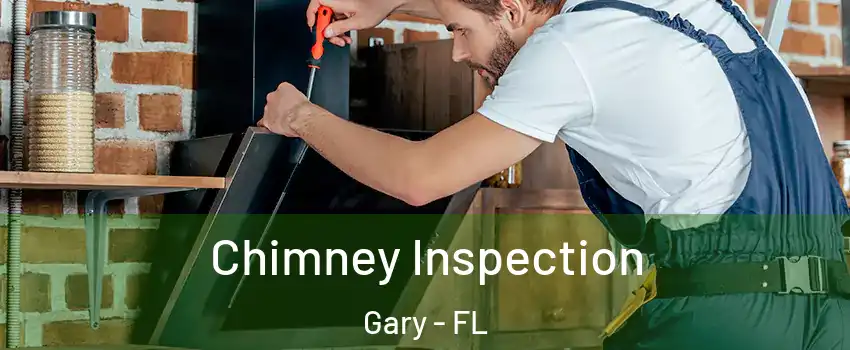 Chimney Inspection Gary - FL