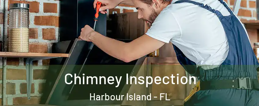 Chimney Inspection Harbour Island - FL