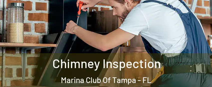 Chimney Inspection Marina Club Of Tampa - FL