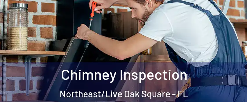 Chimney Inspection Northeast/Live Oak Square - FL