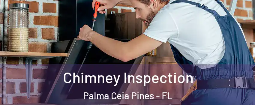 Chimney Inspection Palma Ceia Pines - FL