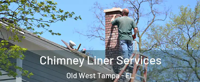 Chimney Liner Services Old West Tampa - FL