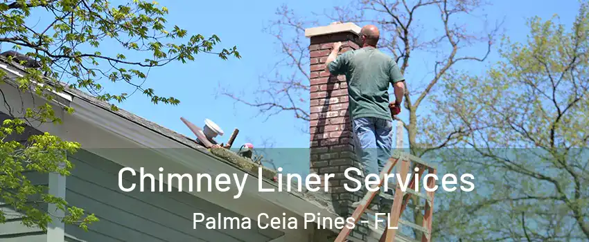 Chimney Liner Services Palma Ceia Pines - FL