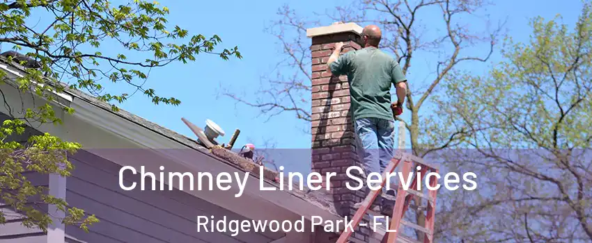 Chimney Liner Services Ridgewood Park - FL