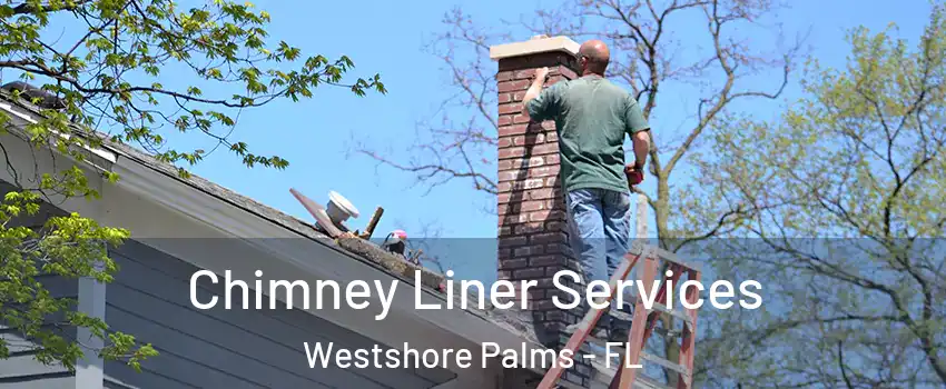 Chimney Liner Services Westshore Palms - FL