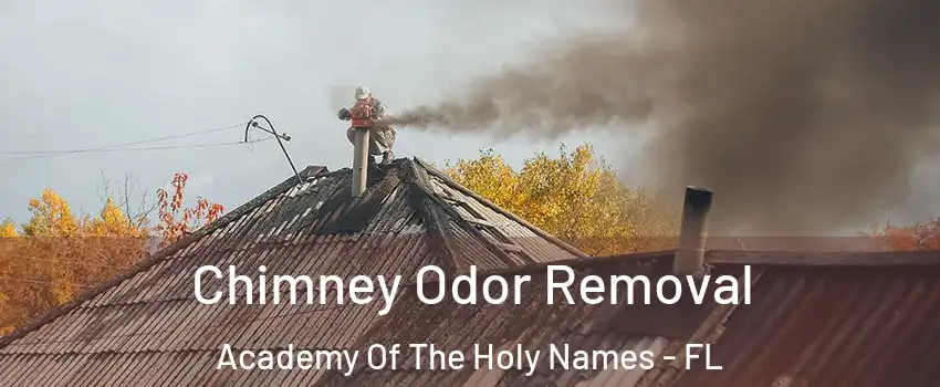 Chimney Odor Removal Academy Of The Holy Names - FL