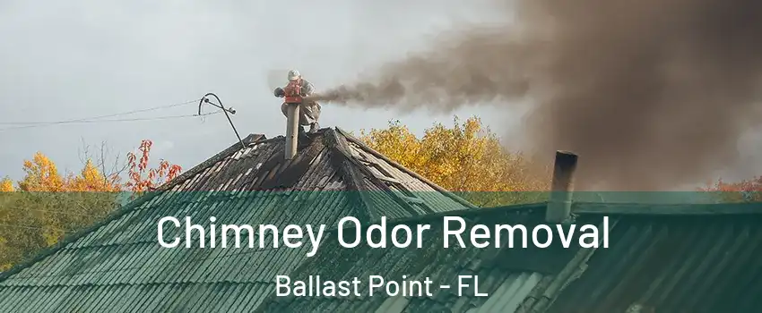 Chimney Odor Removal Ballast Point - FL