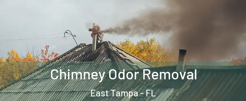 Chimney Odor Removal East Tampa - FL