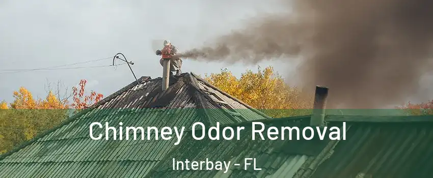 Chimney Odor Removal Interbay - FL