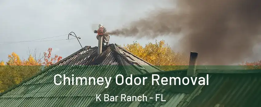 Chimney Odor Removal K Bar Ranch - FL