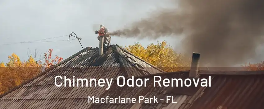 Chimney Odor Removal Macfarlane Park - FL