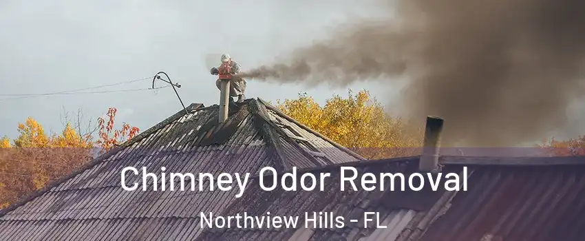 Chimney Odor Removal Northview Hills - FL