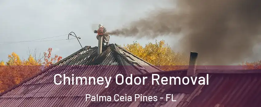 Chimney Odor Removal Palma Ceia Pines - FL