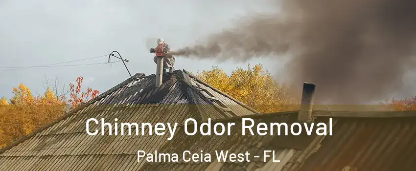 Chimney Odor Removal Palma Ceia West - FL