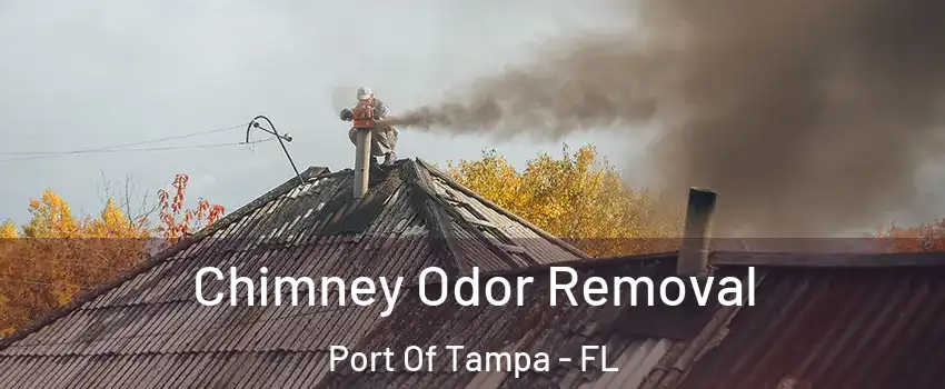Chimney Odor Removal Port Of Tampa - FL