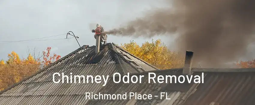 Chimney Odor Removal Richmond Place - FL
