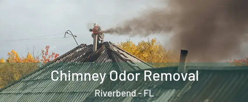 Chimney Odor Removal Riverbend - FL