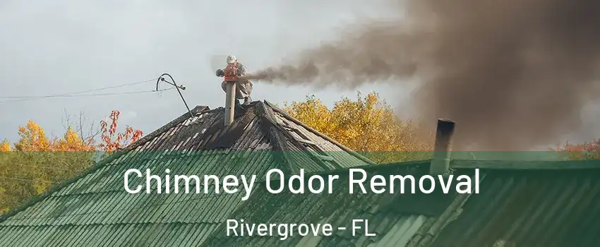 Chimney Odor Removal Rivergrove - FL