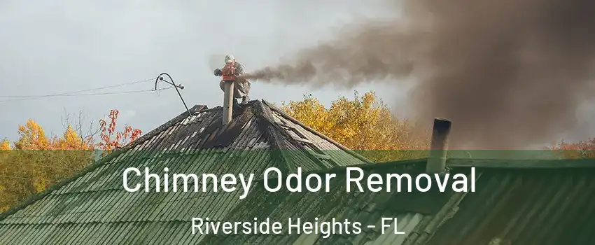 Chimney Odor Removal Riverside Heights - FL