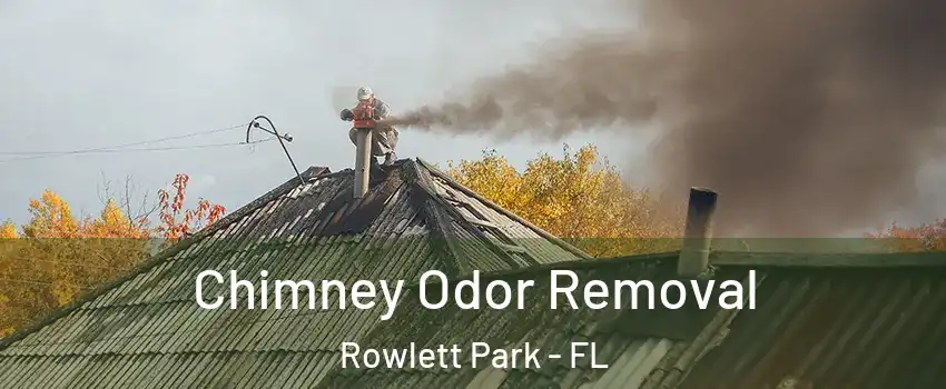 Chimney Odor Removal Rowlett Park - FL