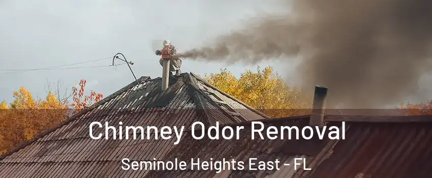 Chimney Odor Removal Seminole Heights East - FL