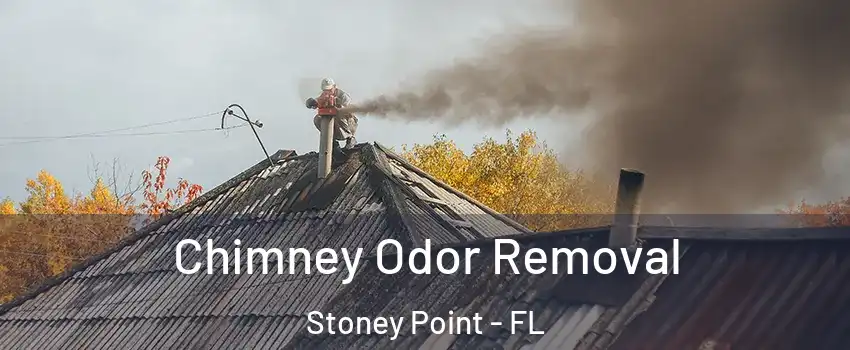 Chimney Odor Removal Stoney Point - FL