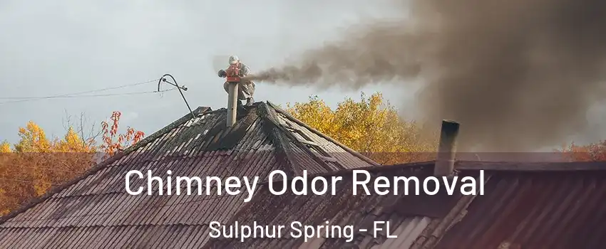 Chimney Odor Removal Sulphur Spring - FL