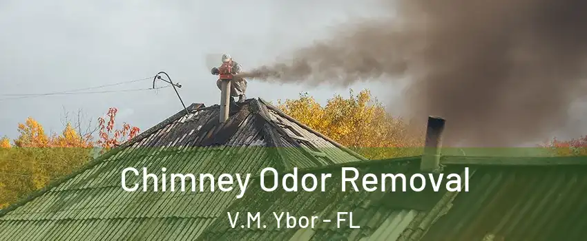 Chimney Odor Removal V.M. Ybor - FL