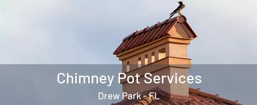 Chimney Pot Services Drew Park - FL