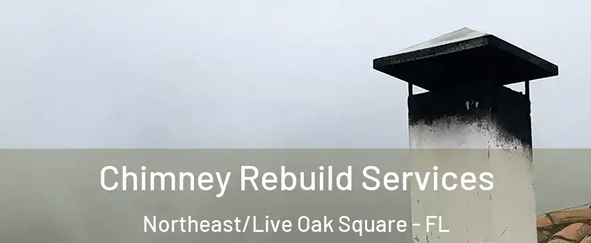 Chimney Rebuild Services Northeast/Live Oak Square - FL