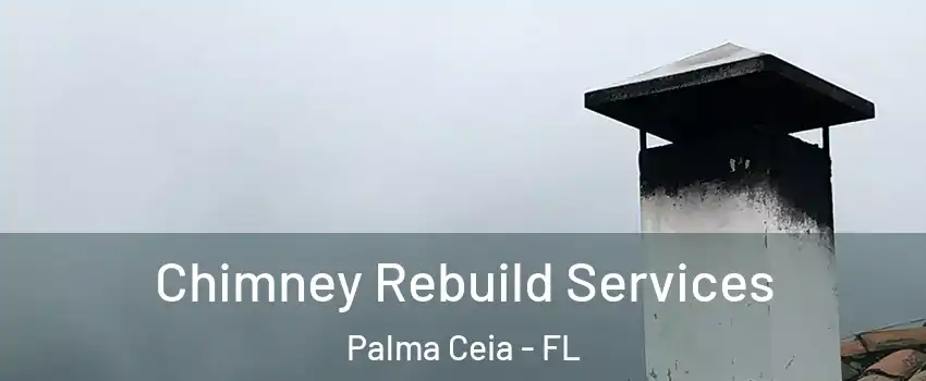 Chimney Rebuild Services Palma Ceia - FL