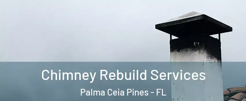 Chimney Rebuild Services Palma Ceia Pines - FL