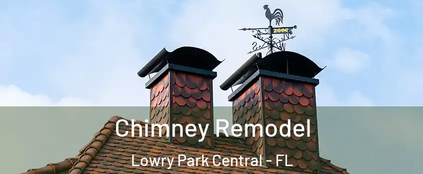 Chimney Remodel Lowry Park Central - FL