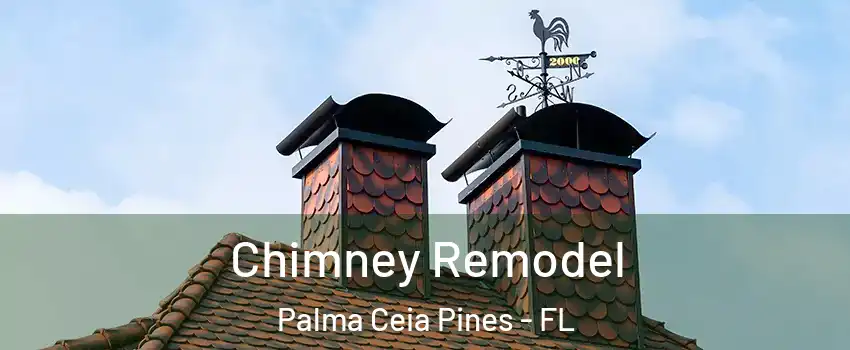 Chimney Remodel Palma Ceia Pines - FL