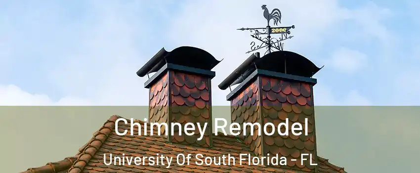 Chimney Remodel University Of South Florida - FL