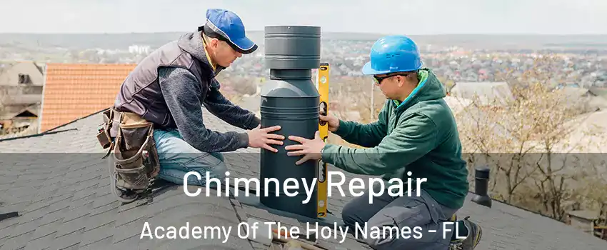 Chimney Repair Academy Of The Holy Names - FL