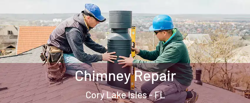 Chimney Repair Cory Lake Isles - FL