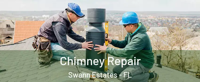 Chimney Repair Swann Estates - FL