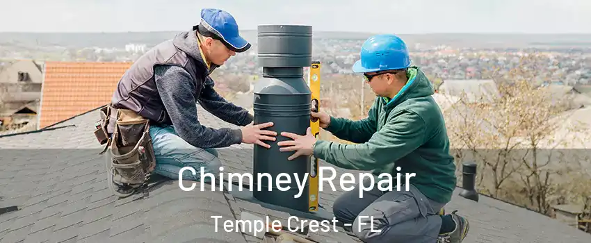 Chimney Repair Temple Crest - FL