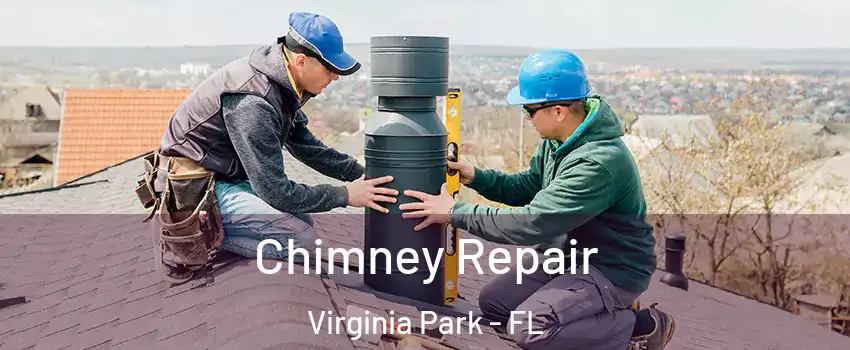 Chimney Repair Virginia Park - FL