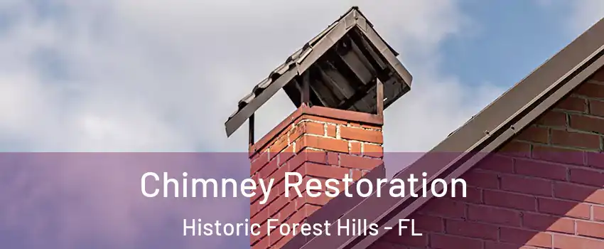 Chimney Restoration Historic Forest Hills - FL