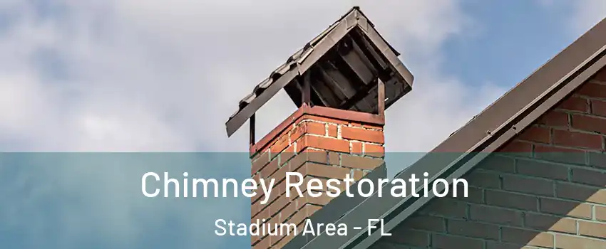 Chimney Restoration Stadium Area - FL