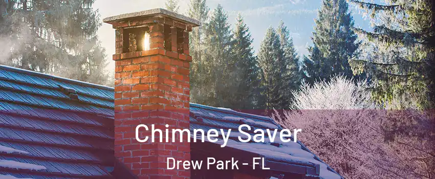 Chimney Saver Drew Park - FL