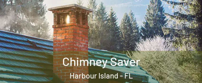 Chimney Saver Harbour Island - FL