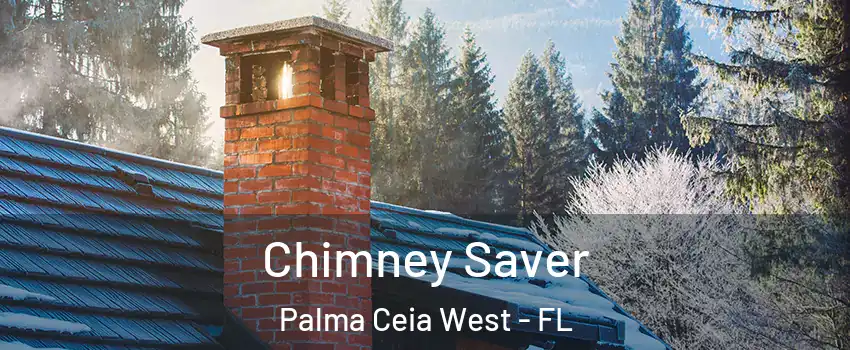 Chimney Saver Palma Ceia West - FL