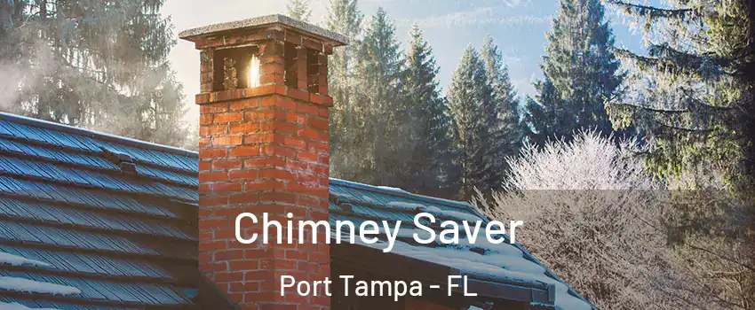 Chimney Saver Port Tampa - FL