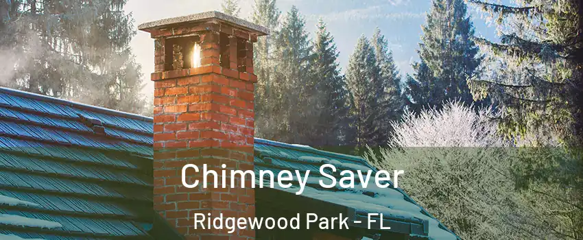Chimney Saver Ridgewood Park - FL